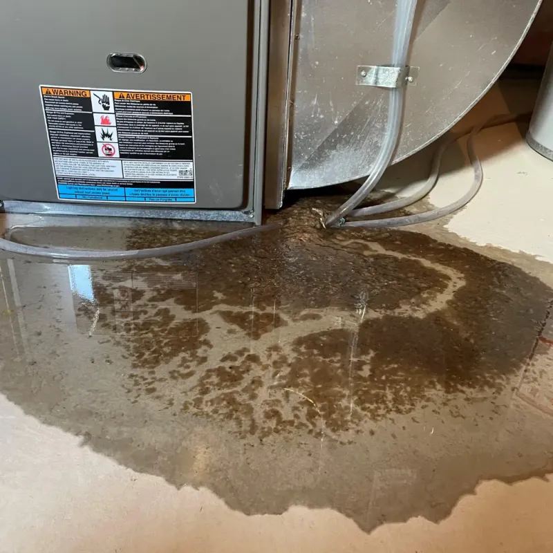Appliance Leak Cleanup in Elko County, NV