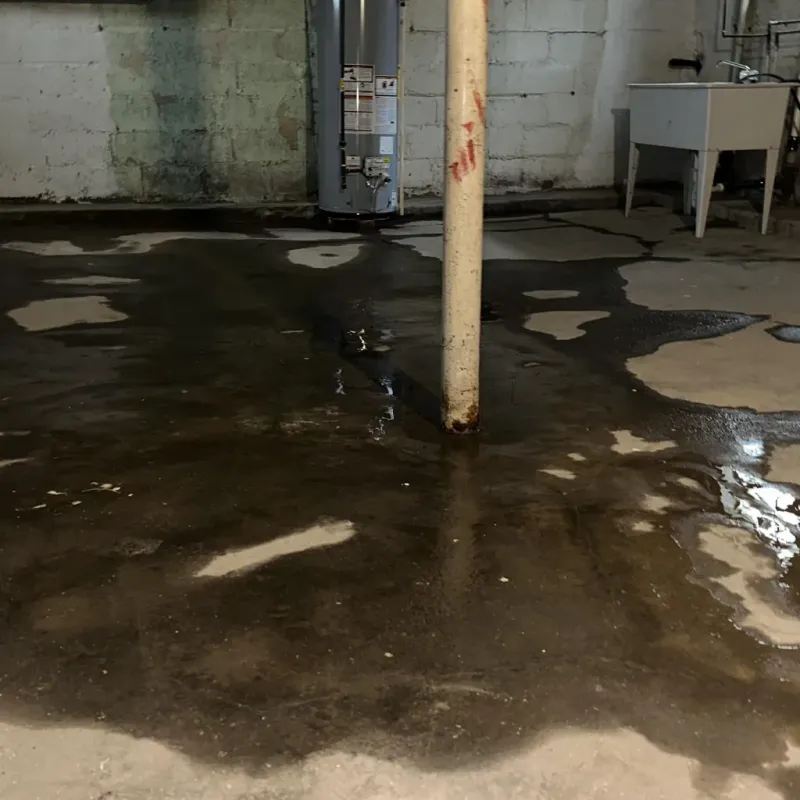 Emergency Water Extraction And Removal in Elko County, NV